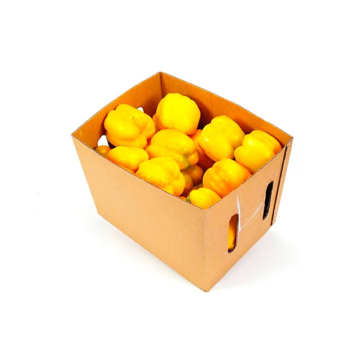 Capsicum Yellow