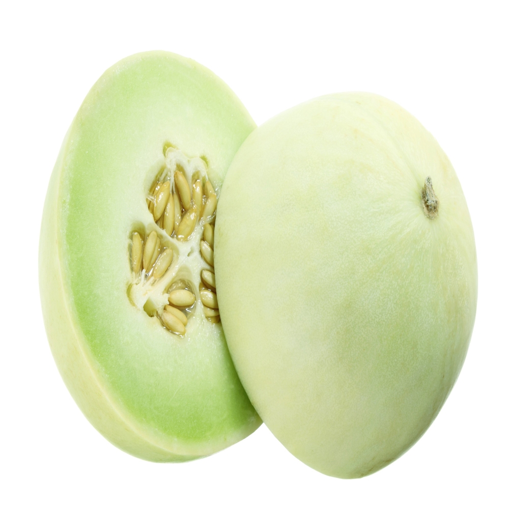 Honey Dew Melon