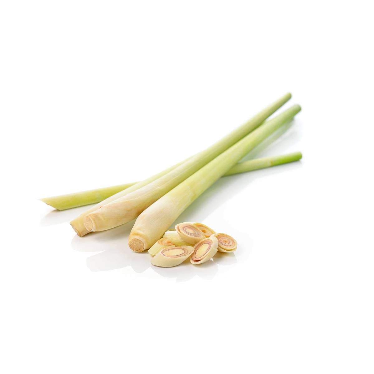 Lemon Grass