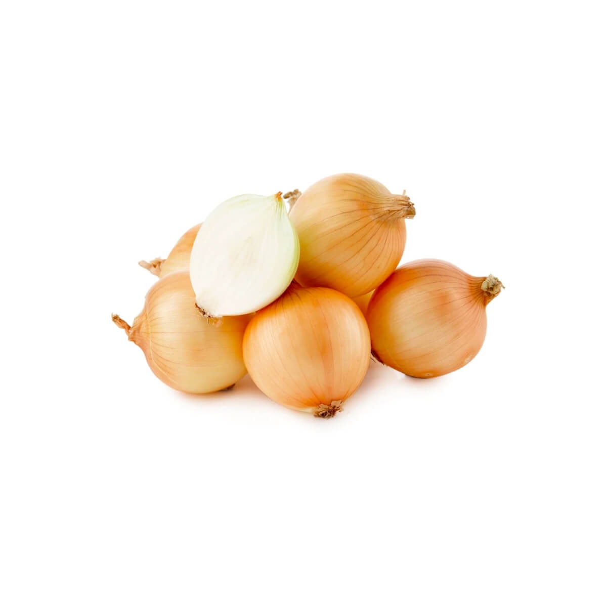Brown Onion
