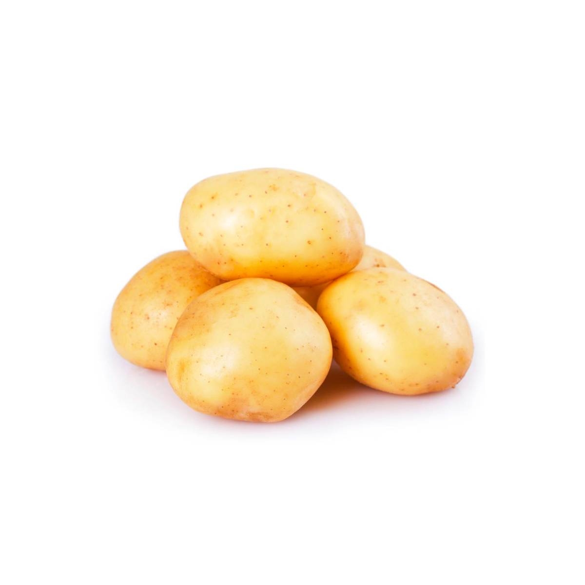 Potato