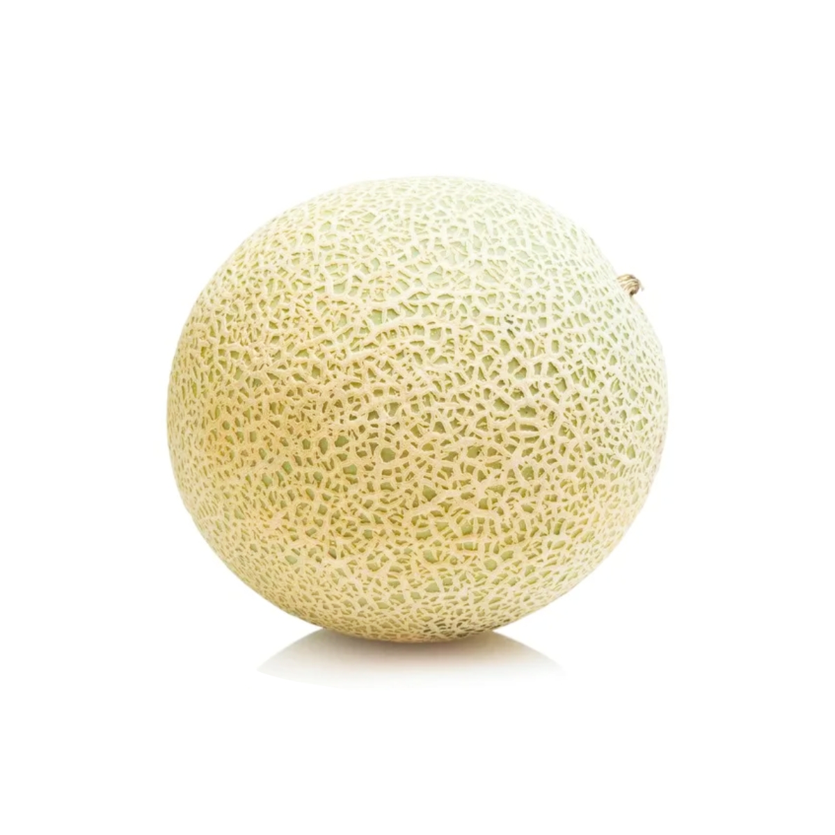 Rock Melon