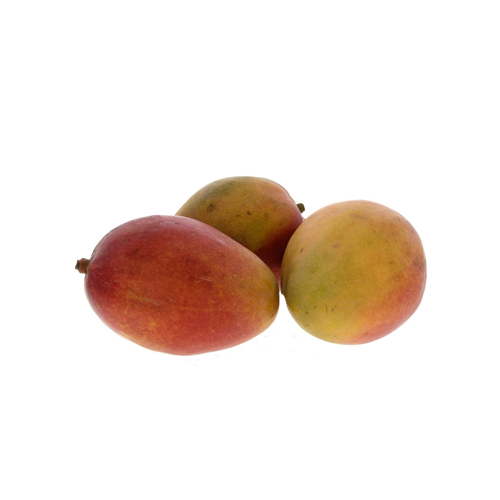 Mango Kalb Al Tour Unripe
