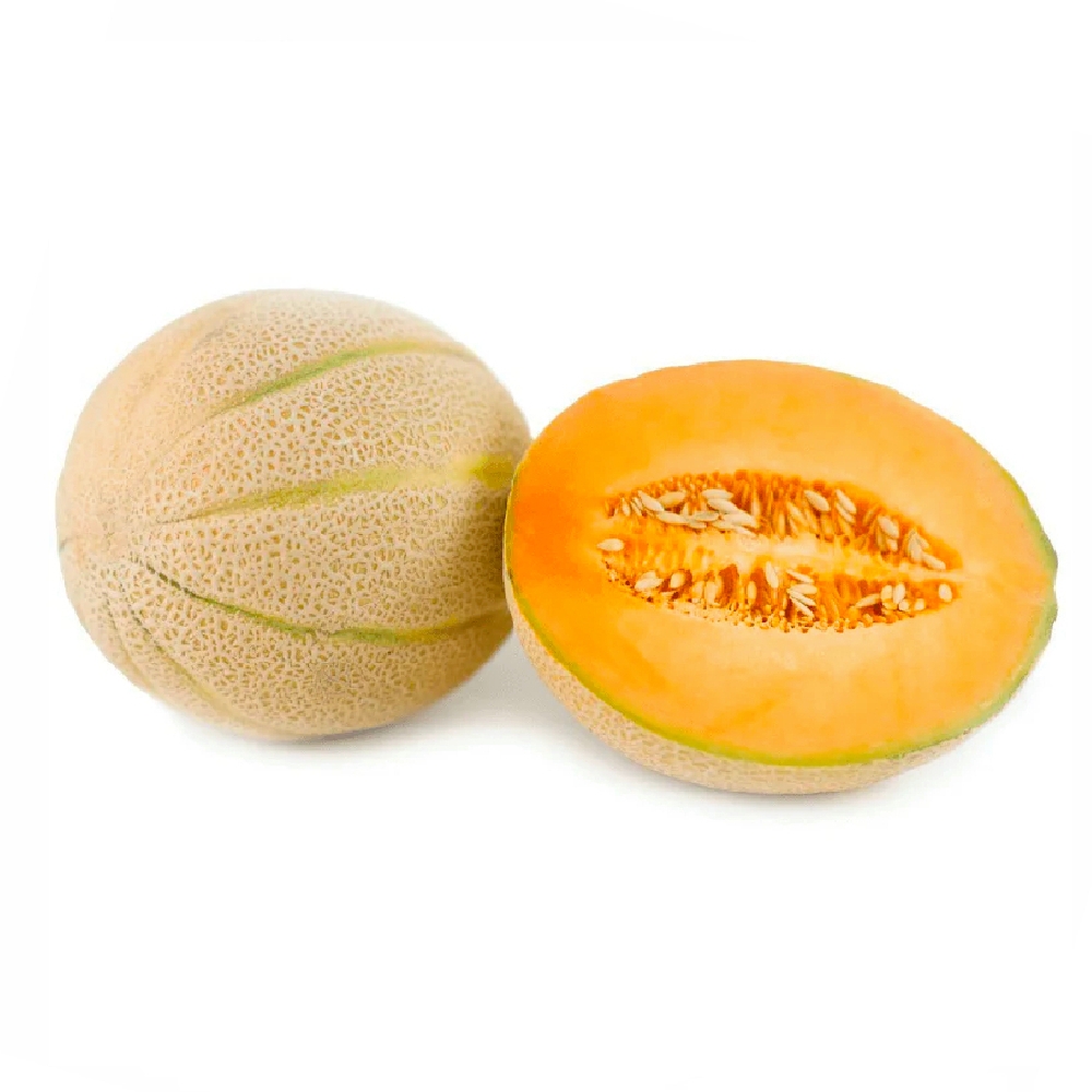 Rock Melon
